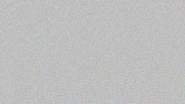 ingrid03 taffur online show from 02/12/26, 08:19