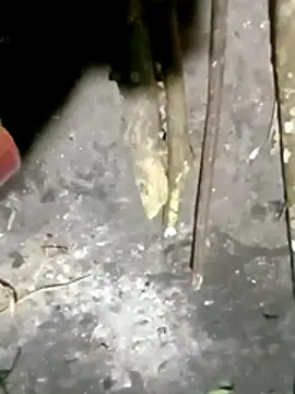  TranThao 05 online show from 12/21/25, 10:32