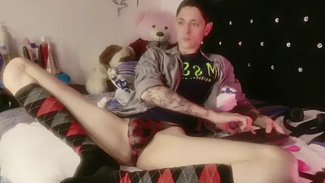 Tyler cat online show from 04/14/26, 08:19