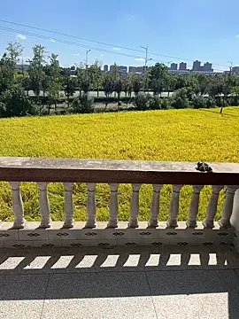 dachui 168 online show from 10/06/25, 03:29