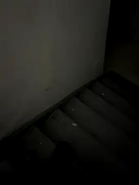 ayrtonmen online show from 11/14/25, 02:43