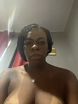 Priihmedeiros online show from 04/14/26, 09:25