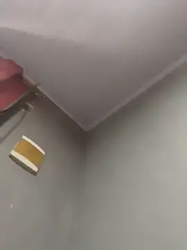 Priihmedeiros online show from 12/20/25, 11:13