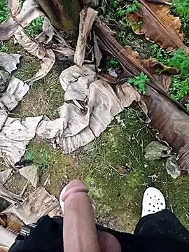 Sikici0734 online show from 11/11/25, 02:01