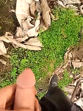 Sikici0734 online show from 01/12/26, 08:32