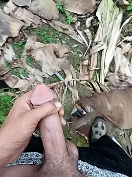 Sikici0734 online show from 11/13/25, 09:24