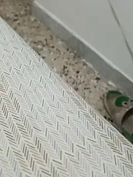 Snapshot of Lucastra98 chatting on 11/05/25, 08:17 Lucastra98 online show from 11/05/25, 08:17