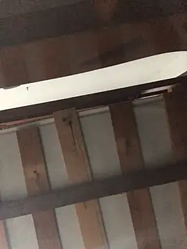 Lorennapires online show from 03/01/26, 08:09