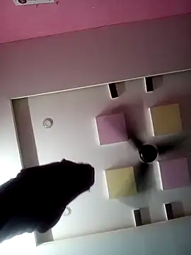 supcpl online show from 02/01/26, 06:06