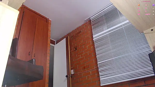 Snapshot of Salome-sw chatting on 03/20/25, 11:34 Salome-sw online show from 03/20/25, 11:34