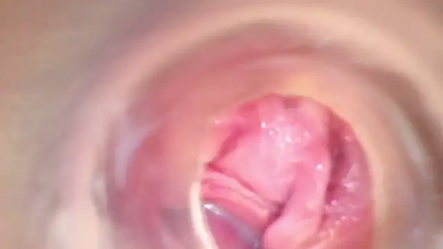 shannon kinne  online show from 11/22/25, 08:29