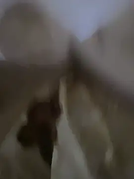 Moro-89 online show from 04/05/26, 06:20