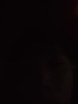 aooya online show from 11/28/25, 01:44