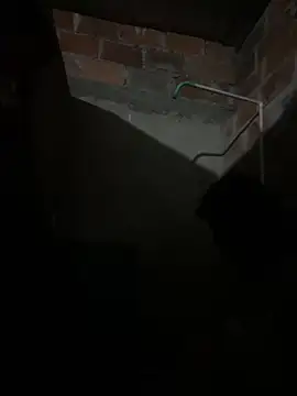 lady and charly online show from 02/07/26, 11:24