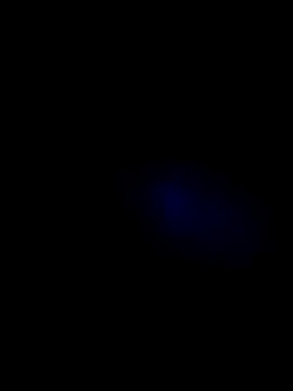 lady and charly online show from 11/07/25, 07:40