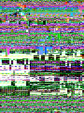 Rose monroee online show from 11/13/25, 07:40