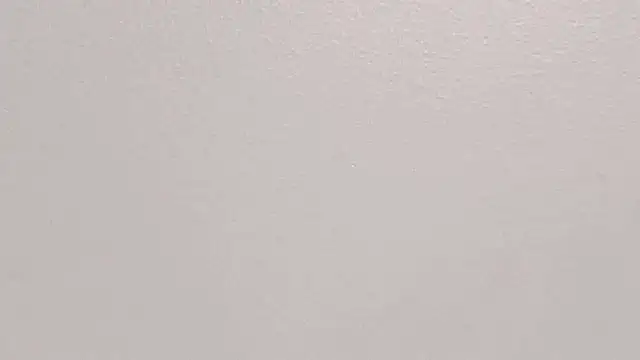 GeorginaFit online show from 10/30/25, 12:03