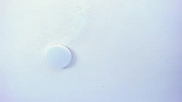 Snapshot of daenerysxxx chatting on 10/29/25, 08:08 daenerysxxx online show from 10/29/25, 08:08