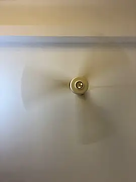 Nhefertary online show from 03/04/26, 02:19