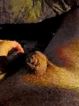 Snapshot of Patrice51230 chatting on 11/27/25, 01:55 Patrice51230 online show from 11/27/25, 01:55