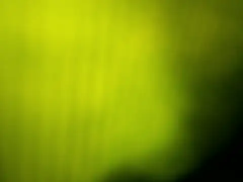 GingerLegend online show from 04/09/26, 12:22