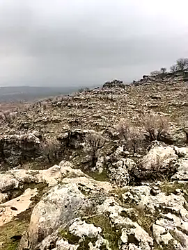 Sert erkek21 ysm online show from 02/02/26, 10:03