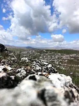 Sert erkek21 ysm online show from 03/31/26, 09:22