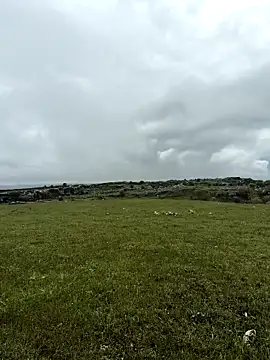 Sert erkek21 ysm online show from 04/20/26, 01:13