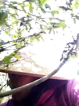 Snapshot of sumaybae chatting on 11/28/25, 07:08 sumaybae online show from 11/28/25, 07:08