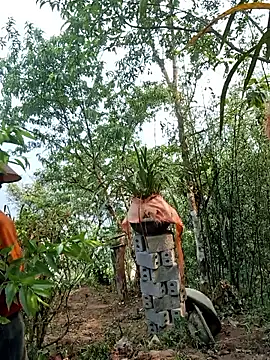 miomio-12 online show from 04/15/26, 02:06