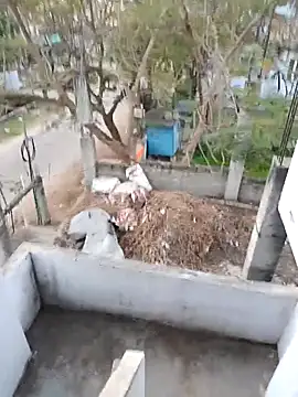 hemcrazy online show from 02/20/26, 01:02