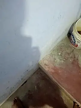 hemcrazy online show from 02/03/26, 06:22