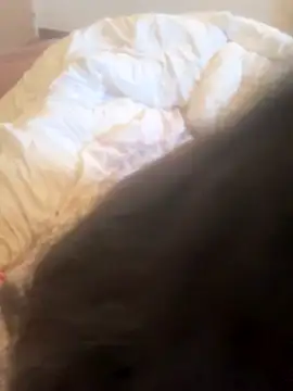 luciamaria01 online show from 10/25/25, 07:18