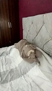 cieloking09 online show from 02/28/26, 06:35