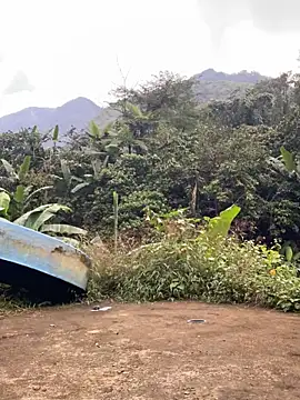 Pii x online show from 11/21/25, 01:04