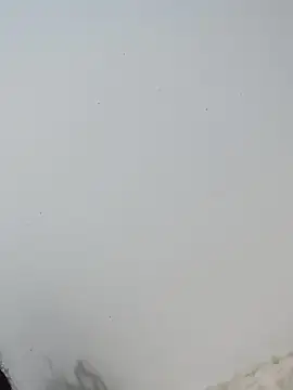  Bella Beth  online show from 12/02/25, 12:55