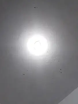  Bella Beth  online show from 11/30/25, 02:12