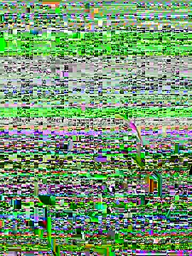 Snapshot of lain213 chatting on 10/09/25, 05:19 lain213 online show from 10/09/25, 05:19