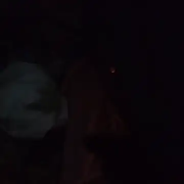 Aragis35 online show from 12/05/25, 06:56