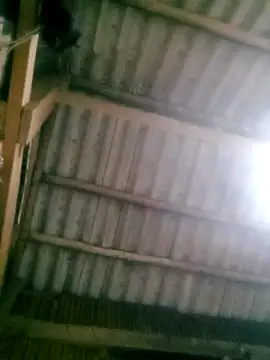 Snapshot of Ducky27021991 chatting on 10/18/25, 12:18 Ducky27021991 online show from 10/18/25, 12:18