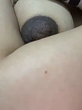 -Harper- online show from 12/16/25, 05:33