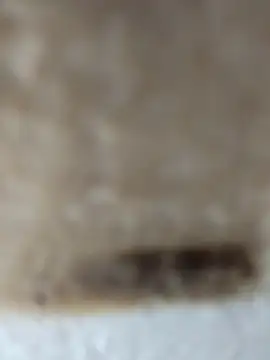 Cr sonam online show from 11/24/25, 11:27