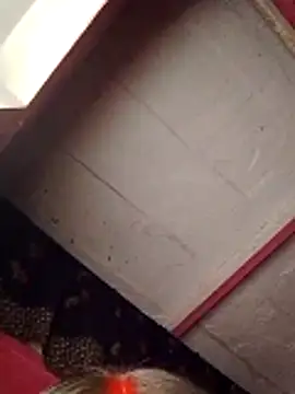 Cr sonam online show from 11/07/25, 11:30