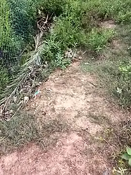 Snapshot of MalickKai chatting on 10/14/25, 10:49 MalickKai online show from 10/14/25, 10:49