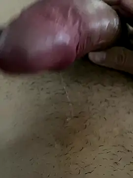 Snapshot of leiteiro2002 chatting on 11/09/25, 11:58 leiteiro2002 online show from 11/09/25, 11:58