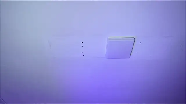 Bayonetta doll online show from 02/14/26, 12:49