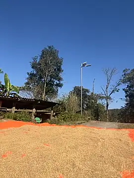 miemie-xx online show from 11/26/25, 03:17