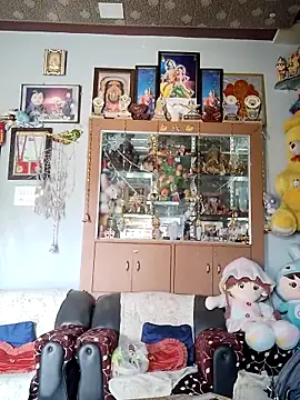 use 19 online show from 02/14/26, 07:19