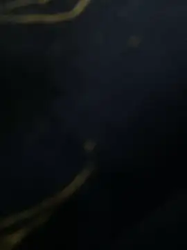 SiaraRealist online show from 11/23/25, 05:39