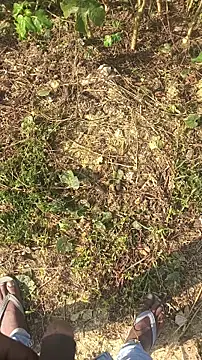 BiggerDickGuy online show from 11/14/25, 04:38